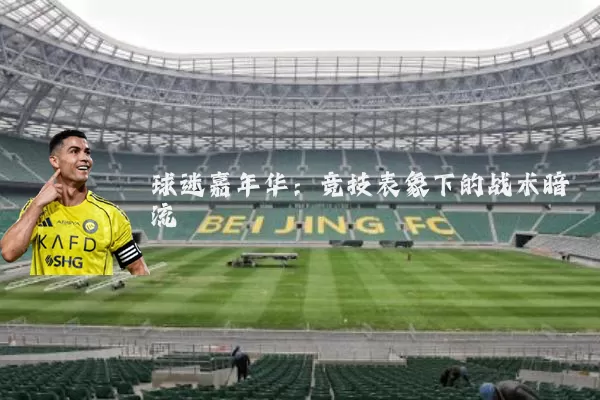 球迷嘉年华:竞技表象下的战术暗流